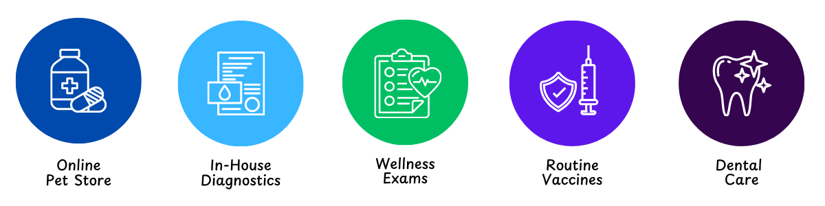 best veterinarian Verona